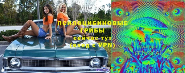 a pvp Россошь